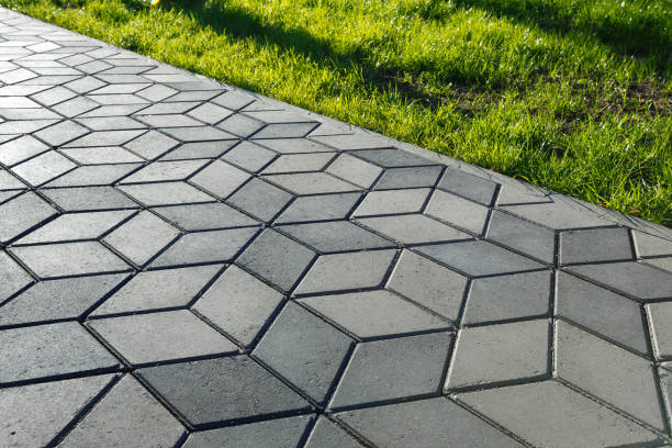 Best Driveway Paving Company  in Fort Lewis, WA