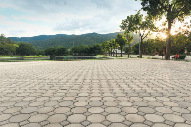 Best Local Driveway Pavers  in Fort Lewis, WA
